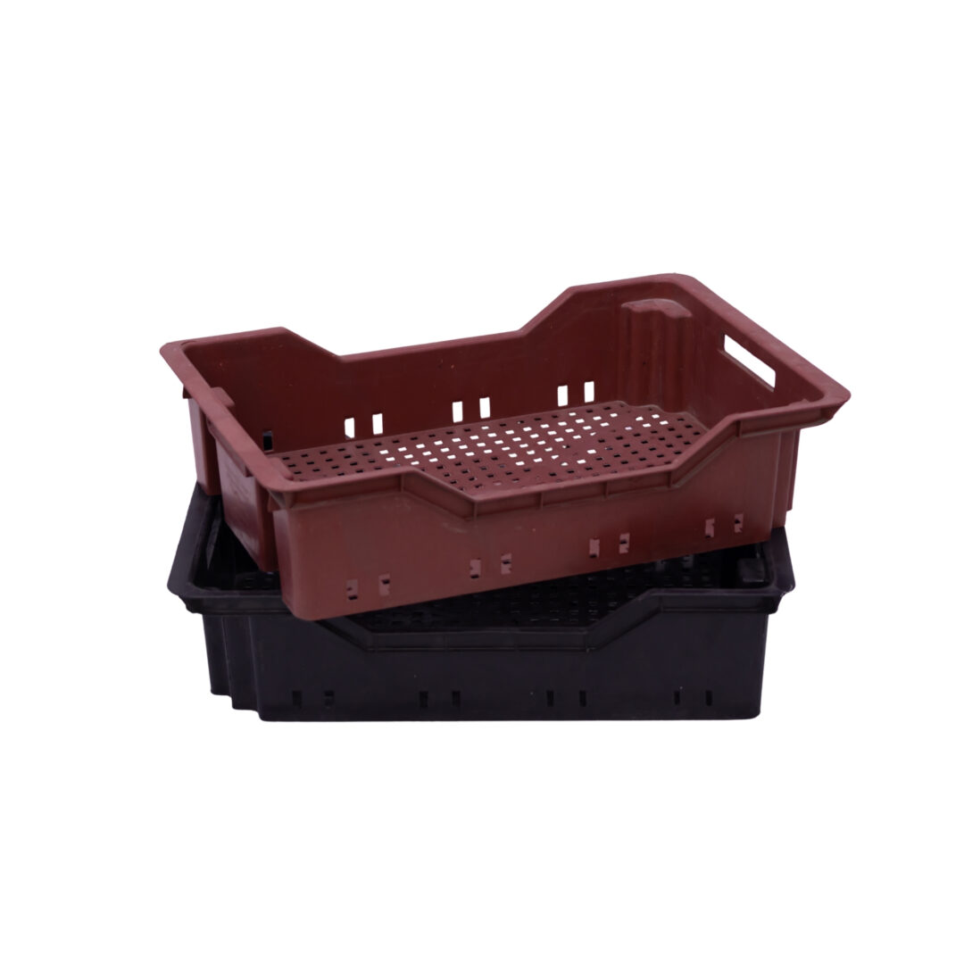 Caisse Poisson (58x40x14)